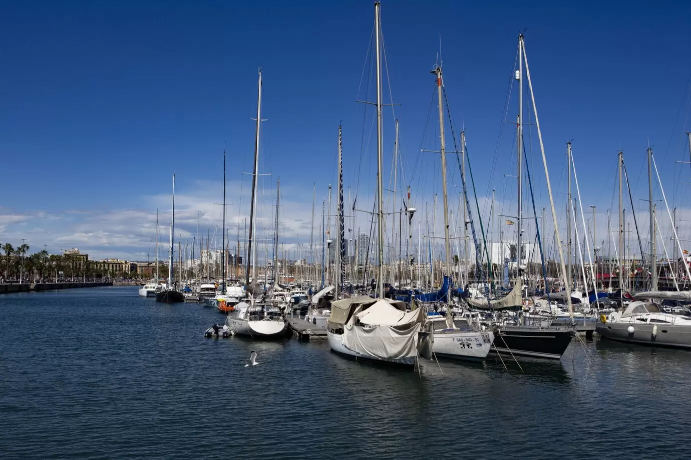 beautiful-view-sailing-boats-by-port-clear-blue-sky_181624-7998