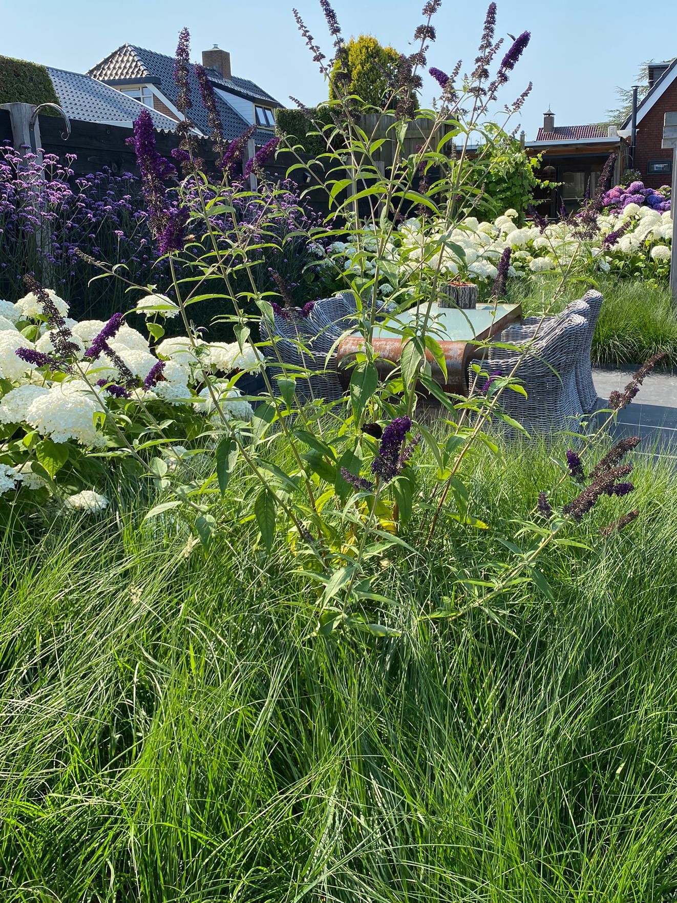 Tuinaanleg - Blom & Tun