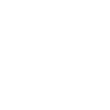 Wellness Asset